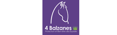 Logo 4 Balzanes